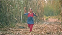 Chalo Bulawa Aaya Hai - 30th October 2025